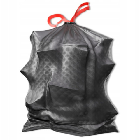PACLAN Worki na śmieci 60l 10 sztuk SILVER SPACE PACLAN Worki na śmieci 60l 10 sztuk SILVER SPACE